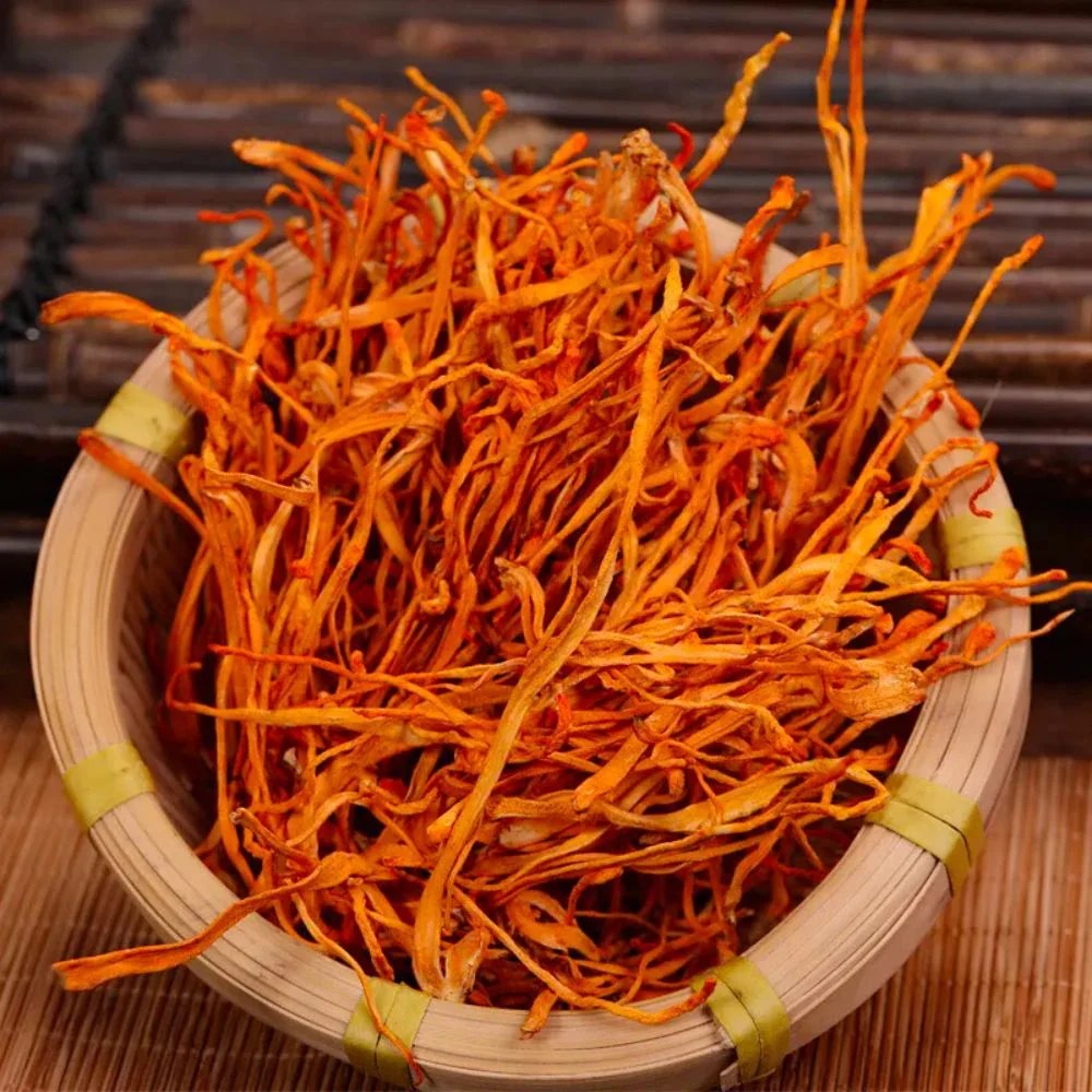 Dried cordyceps mushrooms